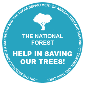 National Forest Help In Saving Our Trees Image