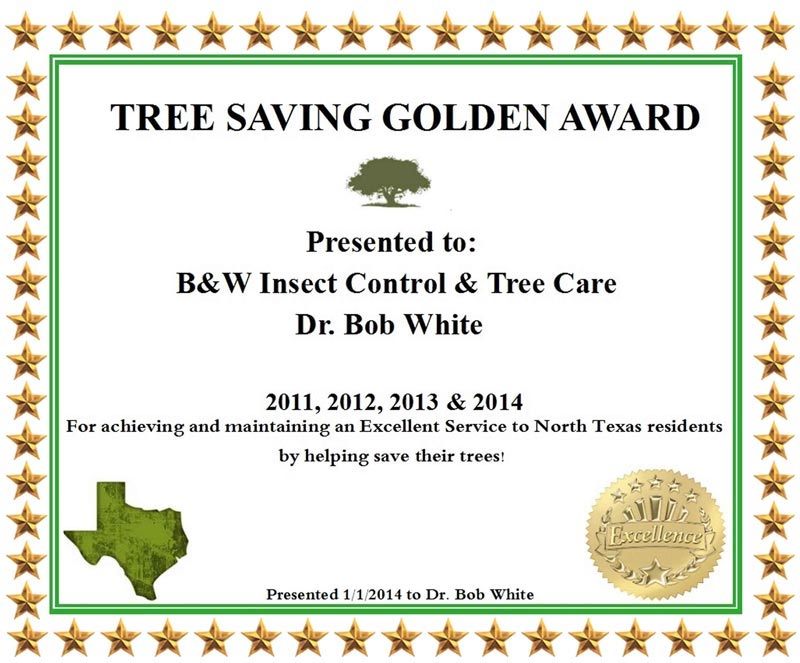 tree-savings-golden-award-certificate